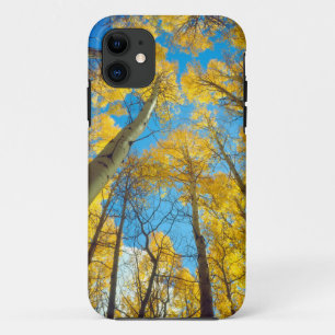 Etui iPhone Case-Mate Couleurs d'automne des arbres d'Aspen 2