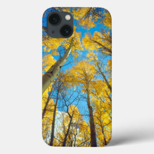 Coques Pour iPhone Couleurs d'automne des arbres d'Aspen 2