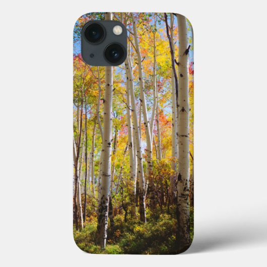 Coques Case-Mate iPhone Couleurs d'automne des arbres d'Aspen 5 (Verso)