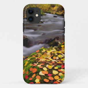 Coque iPhone 11 Couleurs d'automne le long du ruisseau McGee
