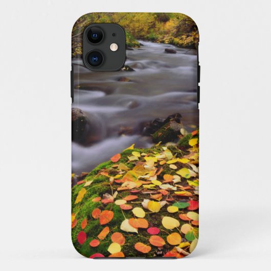 Coques Case-Mate iPhone Couleurs d'automne le long du ruisseau McGee (Dos)