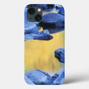 iPhone 13 Case Couleurs d'automne reflétées dans un bassin peu pr