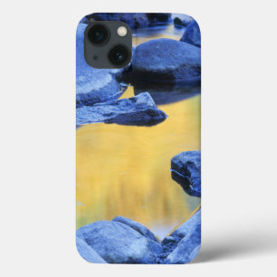 iPhone 13 Case Couleurs d'automne reflétées dans un bassin peu pr