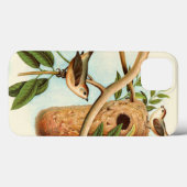 Coques Case-Mate iPhone Couple d'oiseaux sur un nid perché sur une branche (Verso (horizontal))
