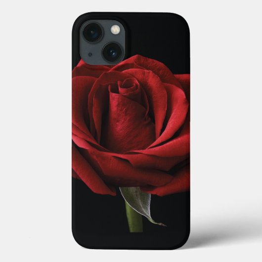 Coques Case-Mate iPhone Coussin de jeté à rose rouge (Verso)