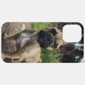 Coques Case-Mate iPhone Coussin de lancer bouledogue français (Retour (horizontal))