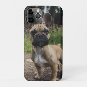 Case-Mate iPhone Case Coussin de lancer Bouledogue Français