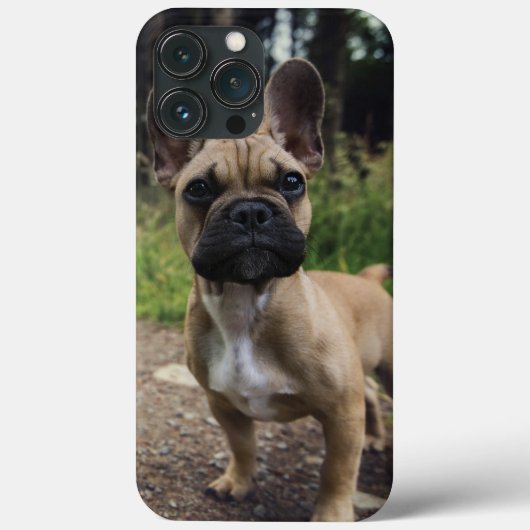 Coques Case-Mate iPhone Coussin de lancer pour bouledogue français (Verso)