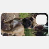 Coques Case-Mate iPhone Coussin de lancer pour bouledogue français (Verso (horizontal))