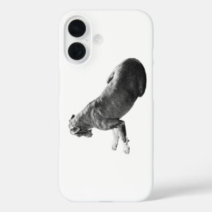 Coques iPhone 16 Couvercle de résistance silencieuse