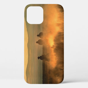 Case-Mate iPhone Case Cowboy Trio : Mountainous Arrière - plan Gallop.