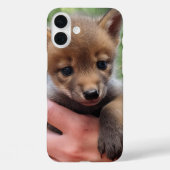 Coques Case-Mate iPhone Coyote bébé (Verso)