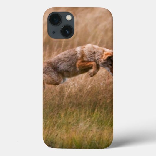 Coques Case-Mate iPhone Coyote sautant - prés de gibbon (Verso)