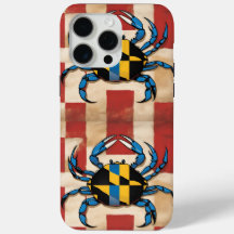 Crabe bleu du Maryland