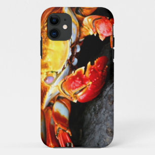 Coque Case-Mate Pour iPhone Crabe de Galapagos