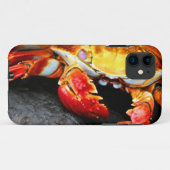 Coques Case-Mate iPhone Crabe de Galapagos (Dos (Horizontal))