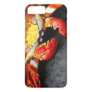 Etui iPhone Case-Mate Crabe de Galapagos