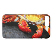 Coques Case-Mate iPhone Crabe de Galapagos (Dos (Horizontal))