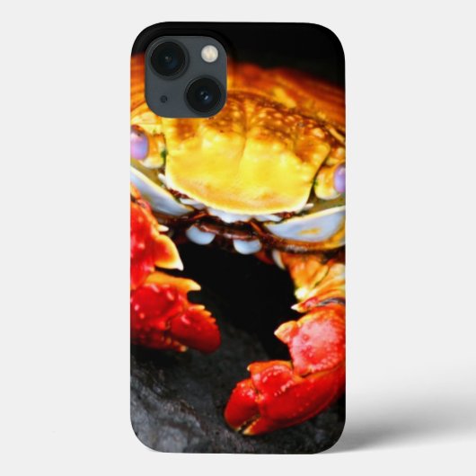 Coques Case-Mate iPhone Crabe des Galapagos (Verso)