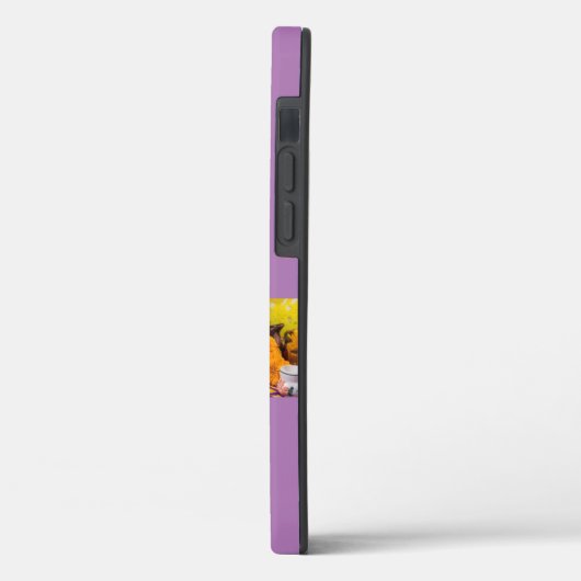 Coques Case-Mate iPhone Crânes à sucre (Verso / Gauche)