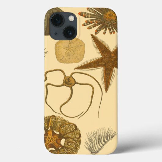 Coques Case-Mate iPhone Créatures sous-marines (Verso)