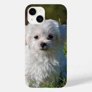 Coque Pour iPhone 14 Créez Votre Propre Photo Personnalisée