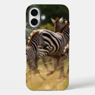 Coques iPhone 16 Plus Créez votre propre zèbre africain sur la piste