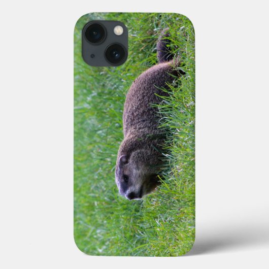 Coques Case-Mate iPhone Creuseur du trou du diable (Verso)
