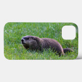Coques Case-Mate iPhone Creuseur du trou du diable (Verso (horizontal))
