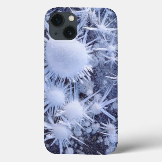Coques Case-Mate iPhone Cristaux de glace dans la Sierra (Verso)