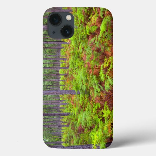 Coques Case-Mate iPhone Croissance de la peau commune (Pteridium Aquilinum (Verso)