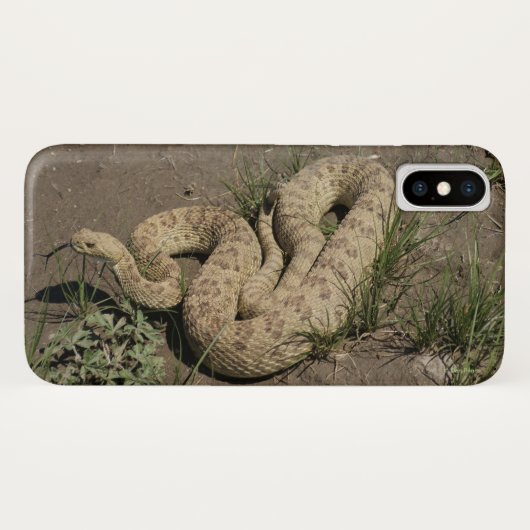 Coques Case-Mate iPhone Crotale des prairies R6 (Dos (Horizontal))