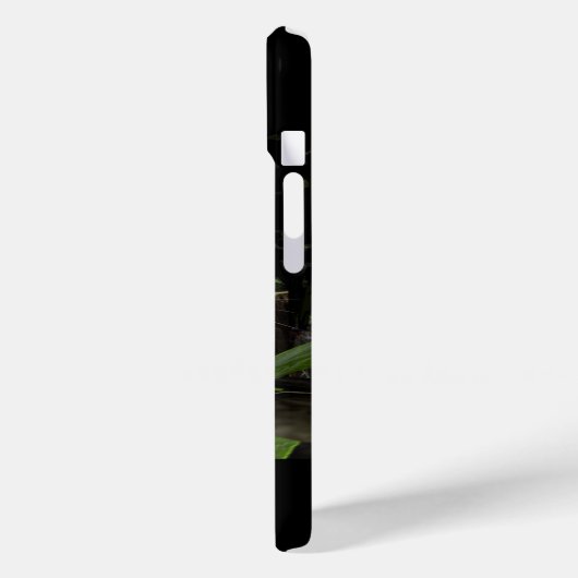 Coques Case-Mate iPhone Crouching des tigres dans la jungle (Verso / Gauche)