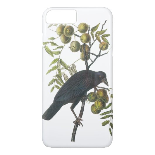 Coques Case-Mate iPhone Crow américain par Audubon (Dos)