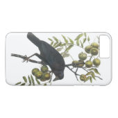 Coques Case-Mate iPhone Crow américain par Audubon (Dos (Horizontal))