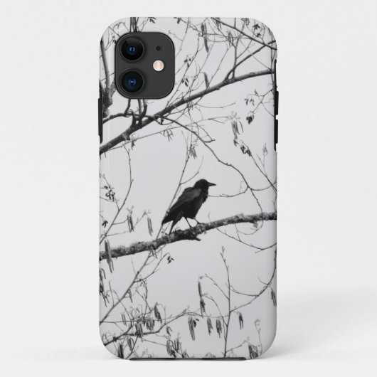 Coques Case-Mate iPhone Crow dans un Birch Tree (Dos)