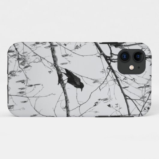 Coques Case-Mate iPhone Crow dans un Birch Tree (Dos (Horizontal))