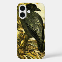 Crow vintage Perché sur une branche Theo van Hoyte