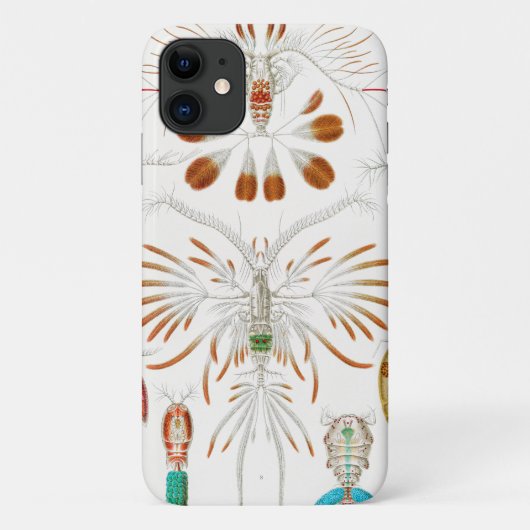 Coques Case-Mate iPhone Crustacés de la vie marine, Copépodes par Ernst Ha (Dos)