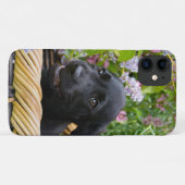 Coques Case-Mate iPhone Cube Black Labrador Retriever Chien Puppy Photo * (Dos (Horizontal))