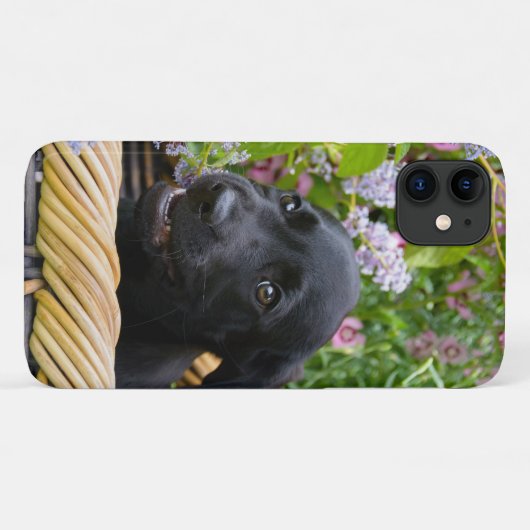 Coques Case-Mate iPhone Cube Black Labrador Retriever Chien Puppy Photo * (Dos (Horizontal))