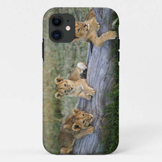 Coques Case-Mate iPhone Cubes de lion sur le journal (Dos)