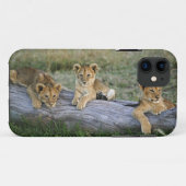 Coques Case-Mate iPhone Cubes de lion sur le journal (Dos (Horizontal))