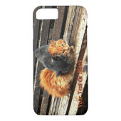 Coques Case-Mate iPhone Cuisses Catnap (Dos)