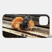 Coques Case-Mate iPhone Cuisses Catnap (Verso (horizontal))