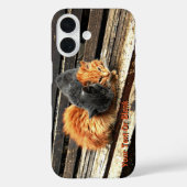 Coques Case-Mate iPhone Cuisses Catnap (Verso)