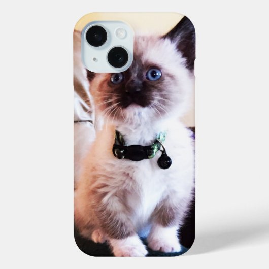 Coques Case-Mate iPhone Cute Blue Oyed Masqué Kitten photo (Verso)