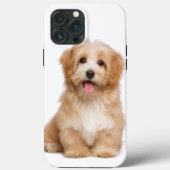 Coques Case-Mate iPhone Cute Chien Your Pets Photo (Verso)