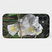 Coques Case-Mate iPhone Cute cocketiel blanc (Dos (Horizontal))