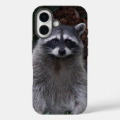 Coques Case-Mate iPhone Cute Forest Raccoon Photo Faune (Verso)